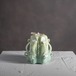 海風とオリーブ｜メディテラネ｜Mini（ミニ）