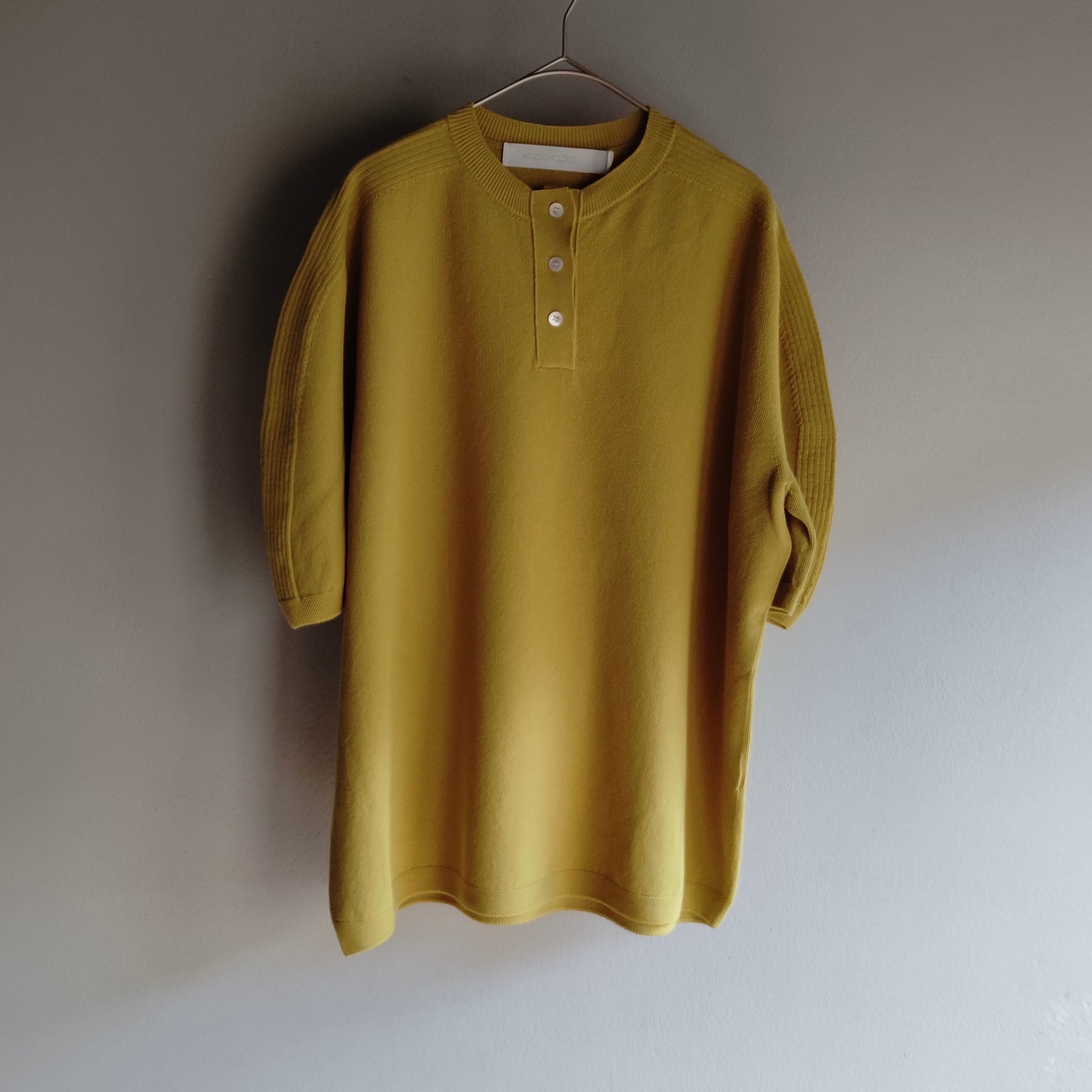 ASEEDONCLOUD/アシードンクラウド shokuonshitu polo / ショクオンシツ ポロ Light green #251801