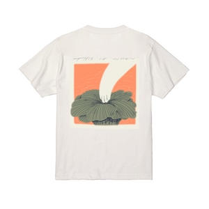 チャリティTシャツ　やかはら /  this_is_when