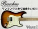 【Bacchus】BSH-850/RSM 3TS