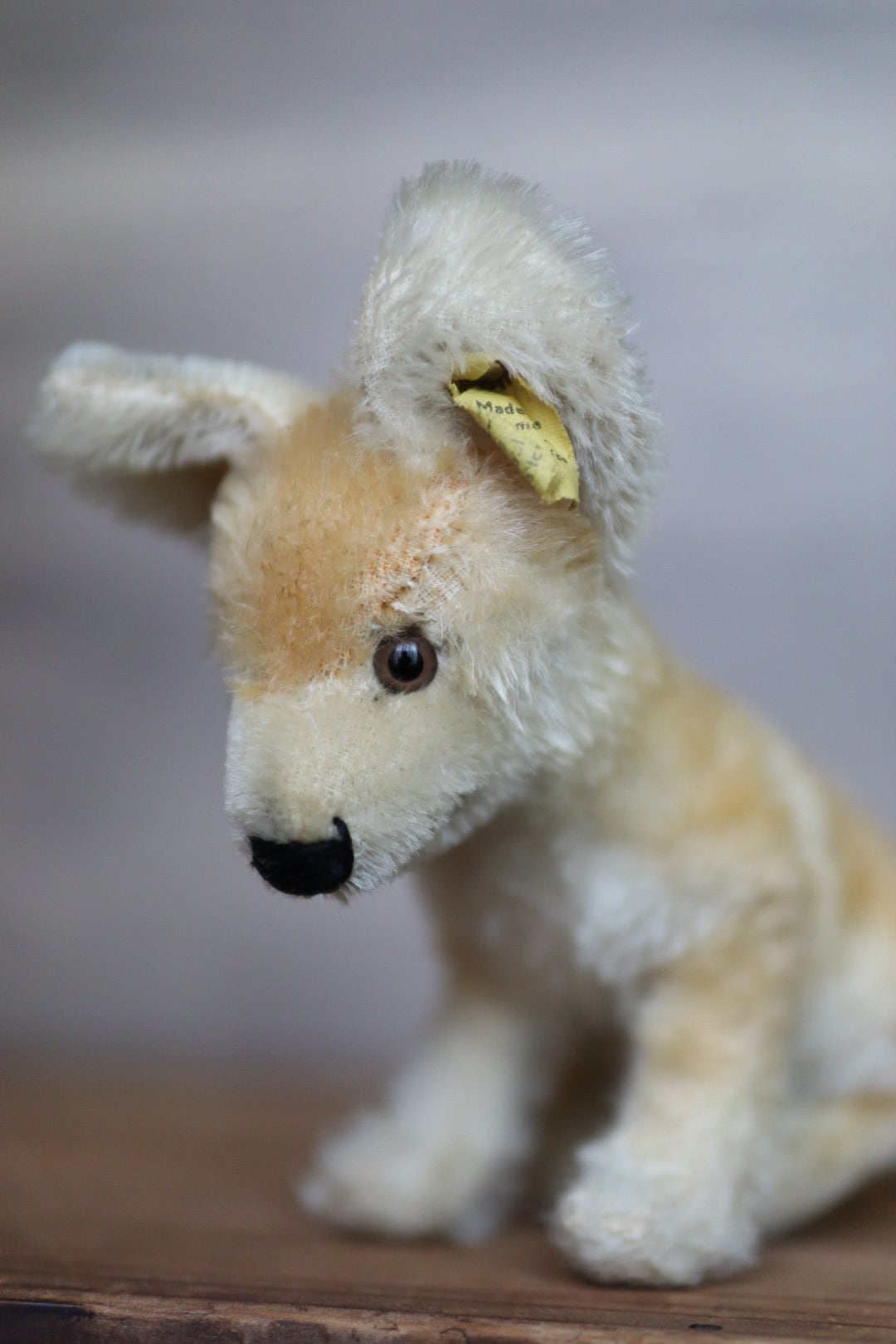 アンティーク シュタイフ きつね Xorry 17㎝