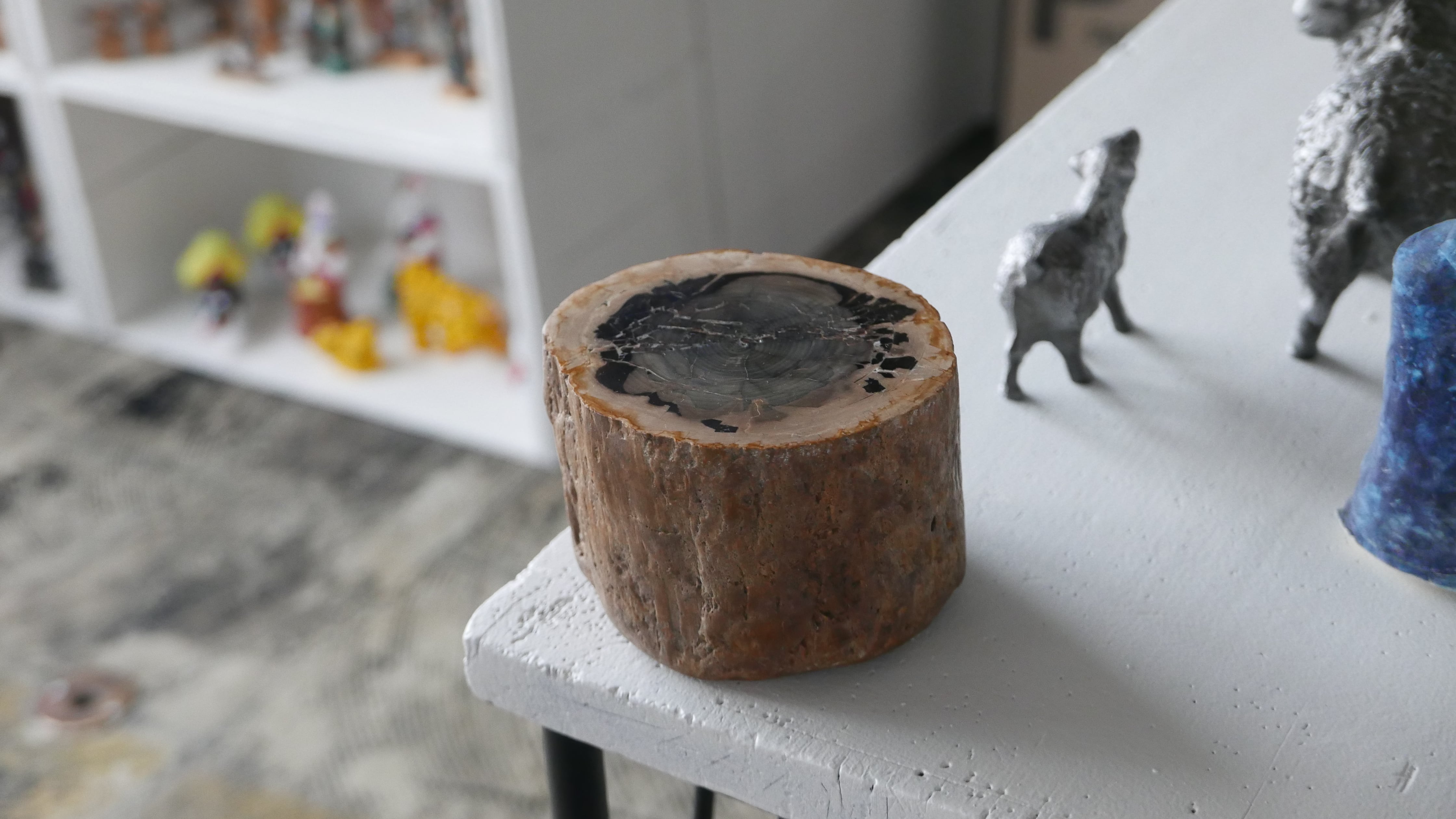 petrified wood stump  , beige × black