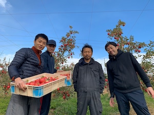 【リニューアル!】野菜計画の"濃い味"野菜箱大盛り（＊隔週配送）