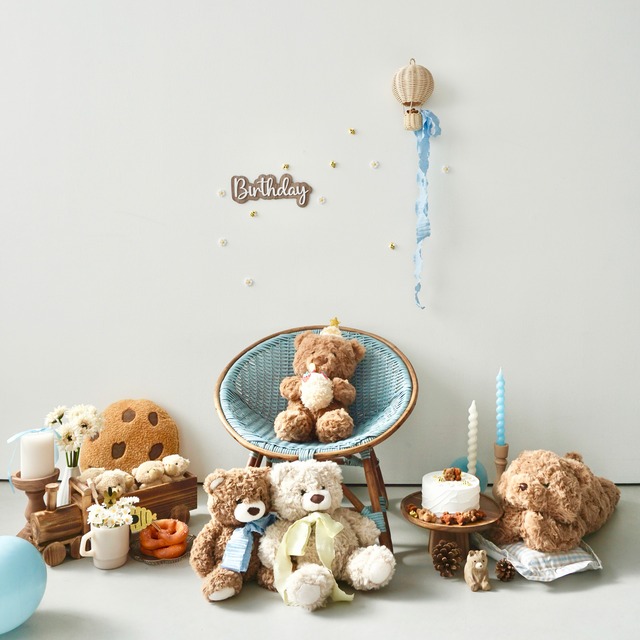 〈ウッドグレー〉ニューボーンフォト