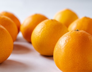 寿まどんな（家庭用）5kg【愛媛県産｜希少品種】　発送12月上旬～