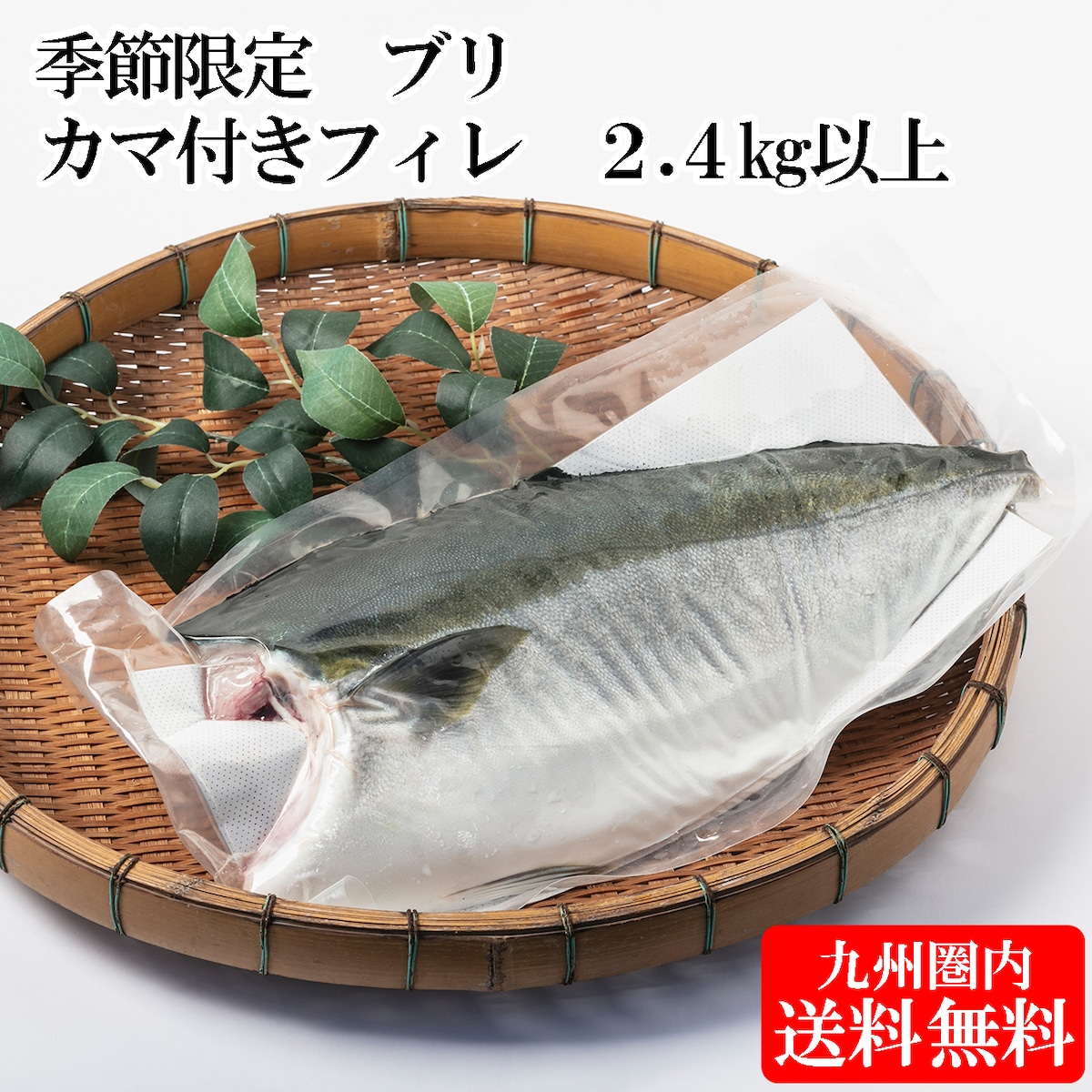 ブリ カマ付きフィレ(片身×2)2.4kg以上 | みなみの樹 鹿児島発厳選商品通販サイト