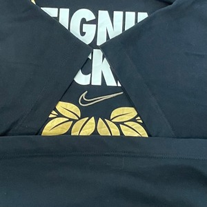 【NIKE】REIGNING BUCKETS Tシャツ ロゴ ナイキ Mサイズ us古着