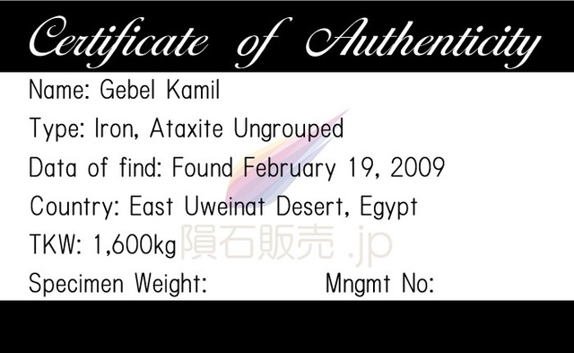 ゲベルカミル 隕石 45.6g アタキサイト 鉄隕石 標本 Gebel Kamil M2607