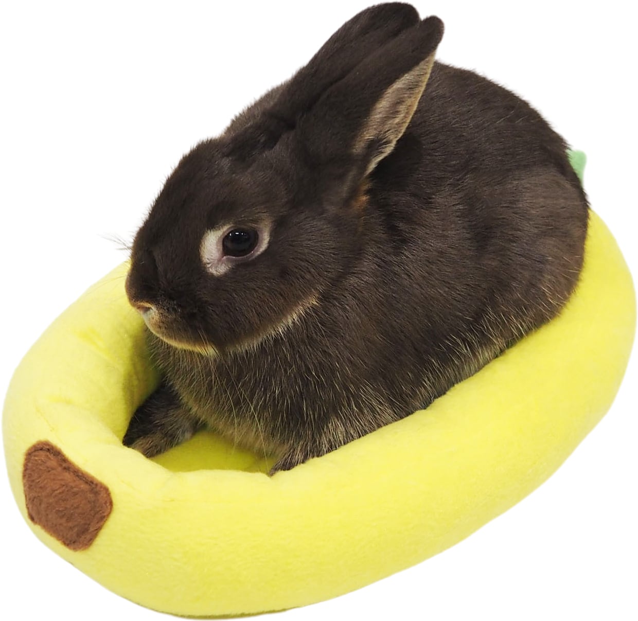 【小動物用品】フルーツベッド バナナ/パパイヤ