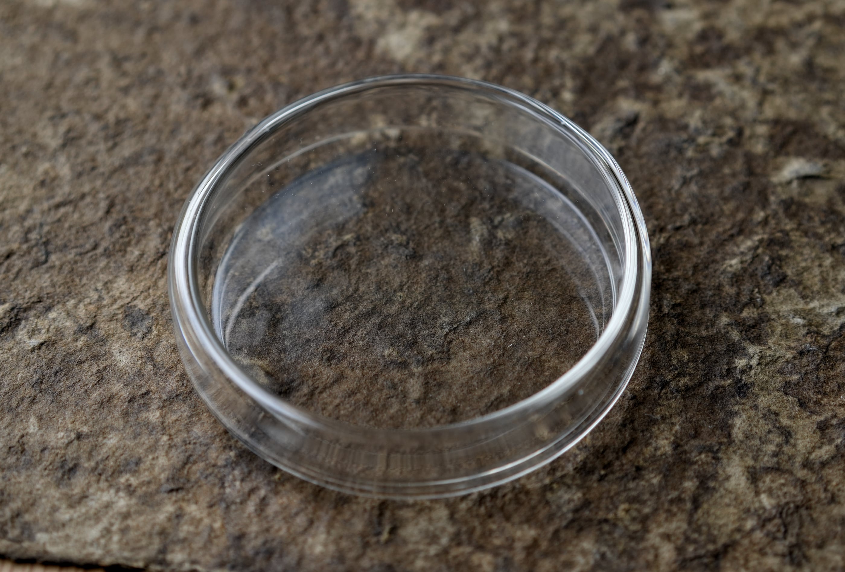 茶箱一式　器据 いちぶつ】茶葉鑑賞皿 3点セット /【 ichibutu 】Tea Viewing Dish