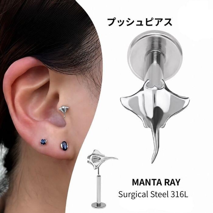 14G ANATOMETAL 限定商品/Limited Item アナトメタルのベゼルセット