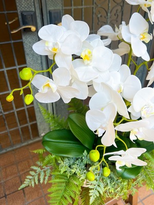 胡蝶蘭の植え込み(造花)