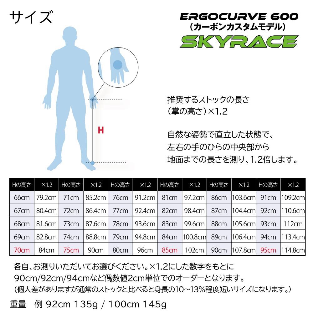 即納在庫】N&W Curve(ニューカーブ)Ergocurve 600 SkyRace 即納在庫】N&W Curve(ニューカーブ)Ergocurve 600 SkyRace