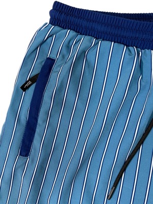 Switch stripe shorts : カレッジブルー