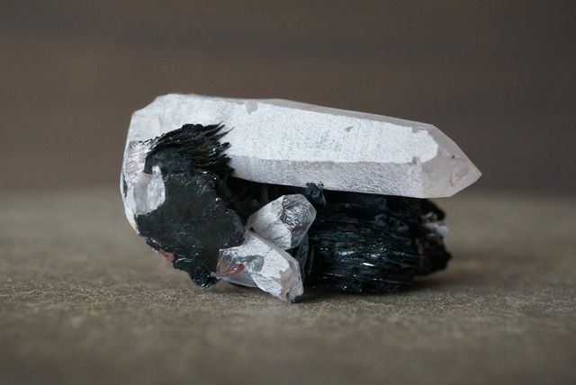 アイアンローズ/クォーツ Iron Rose/Quartz 1651