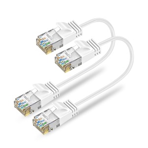 【新着特価】Ankuly Cat6A LANケーブル 短いランケーブル 0.3m 2本セット RJ45コネクタ 10Gbps サーバー 企業様向け 有線ケーブル 業務でも家庭でも