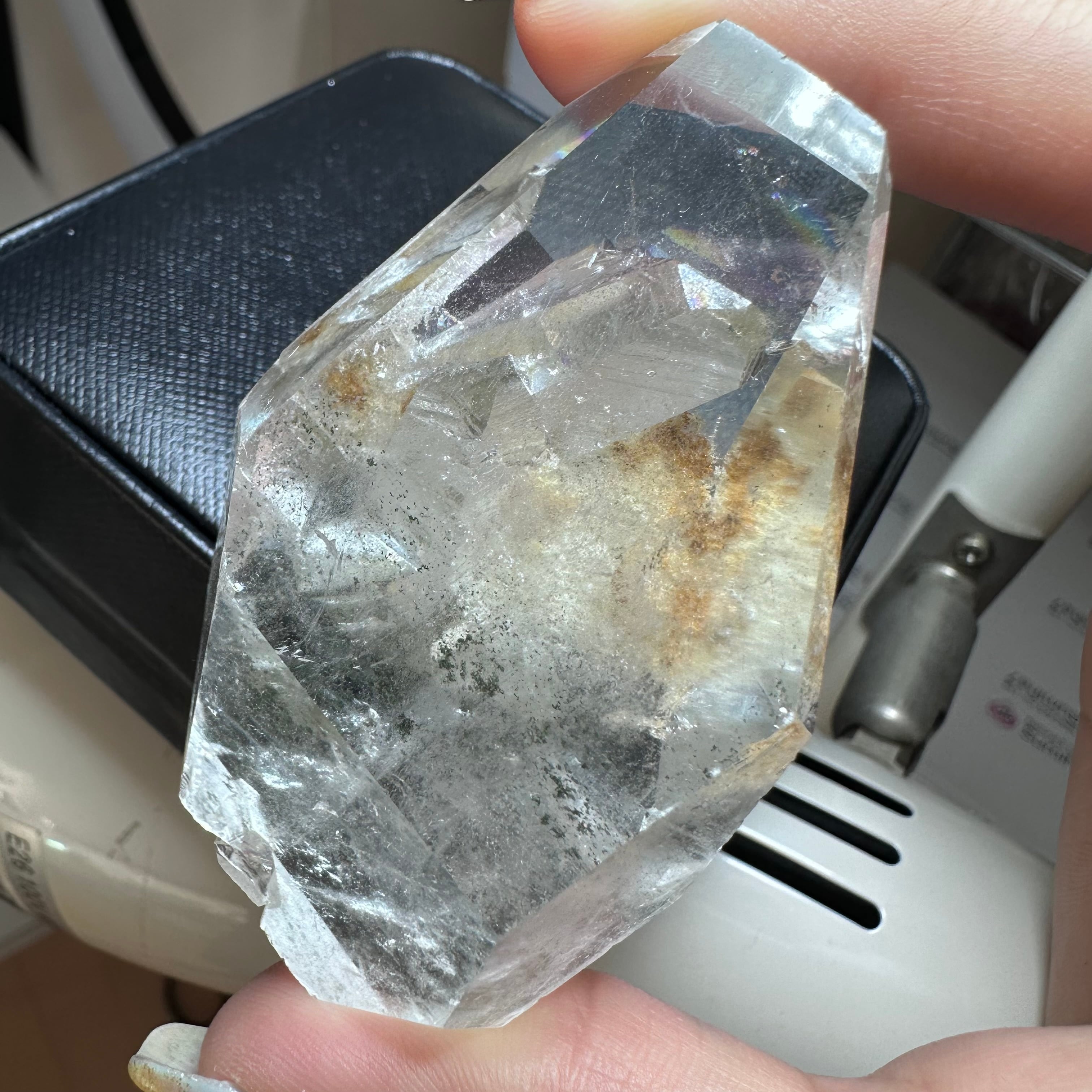 ガネーシュヒマール 貫入 ガーデン