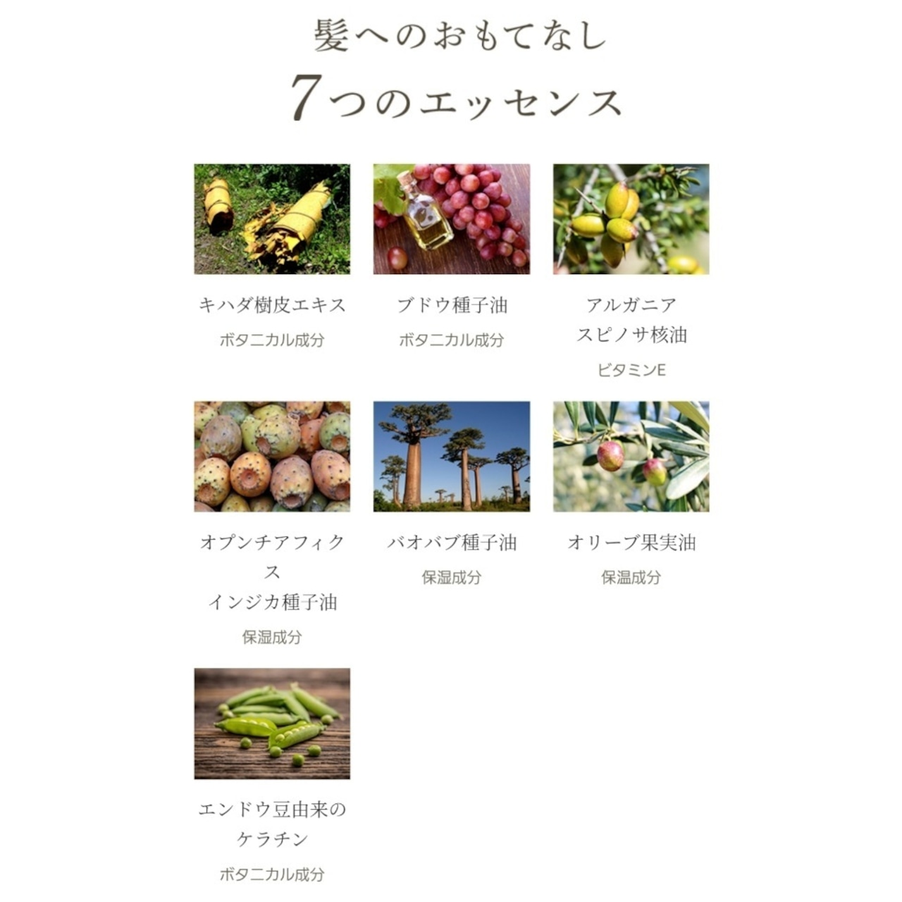 百草物語シャンプー 無着色 無香料 ヒノキ精油 Botanical Elegance