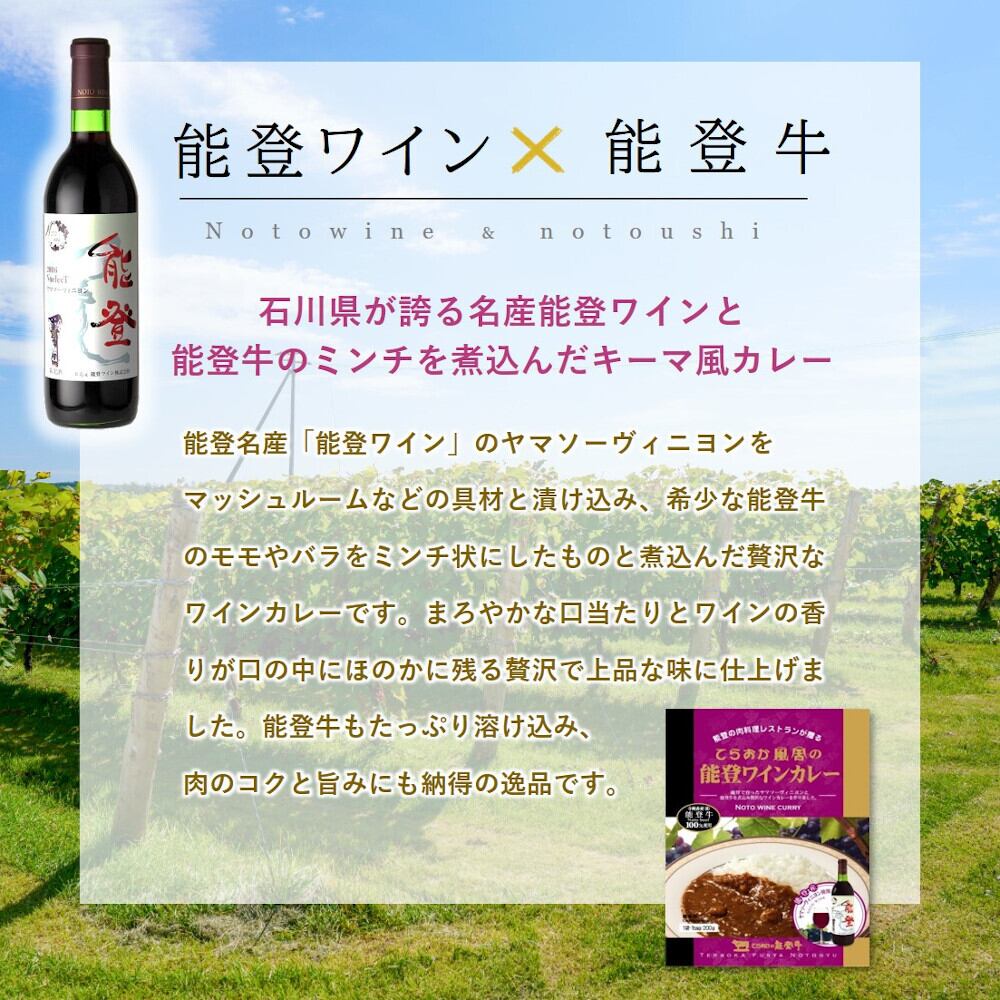 《 29日限定SALE》能登ワインカレー【BASE-22】