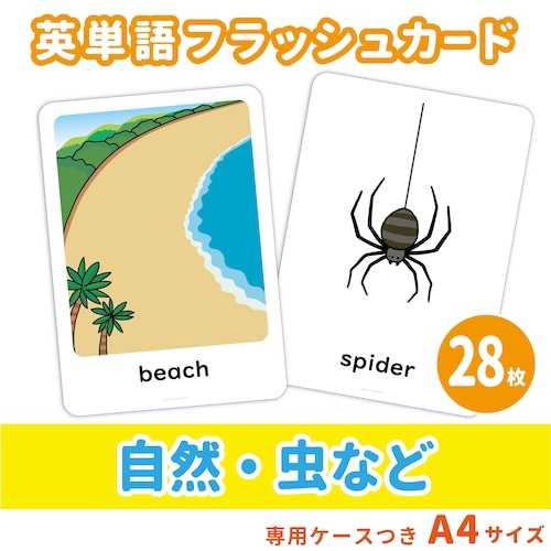 【英単語フラッシュカード】   自然・虫などの英単語セット／A4サイズ／28枚