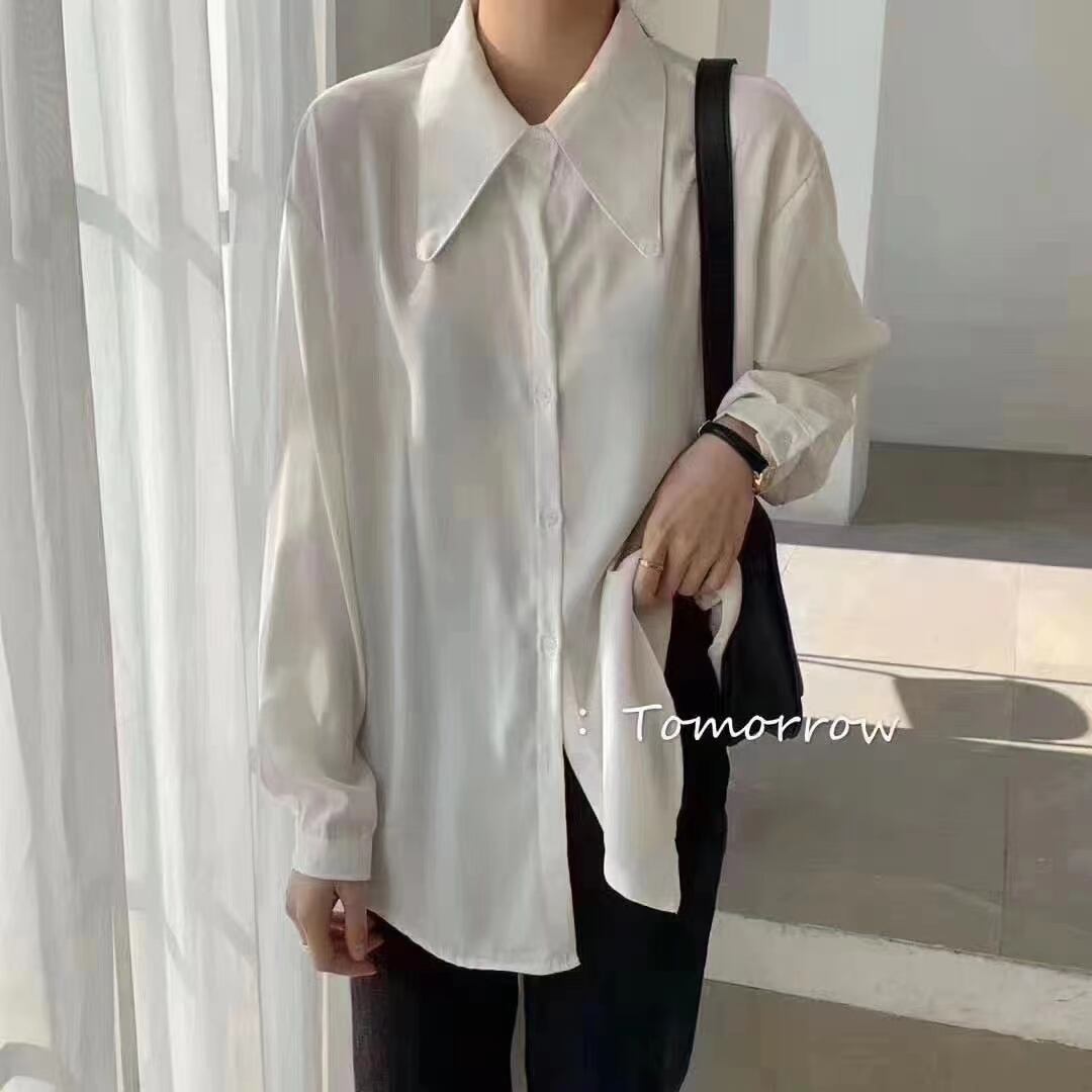 ビッグカラー ブラウス  AJ2205-D12