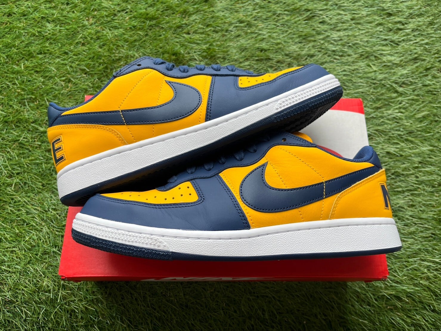 NIKE TERMINATOR LOW UNIVERSITY GOLD AND NAVY/MICHIGAN FJ4206-700