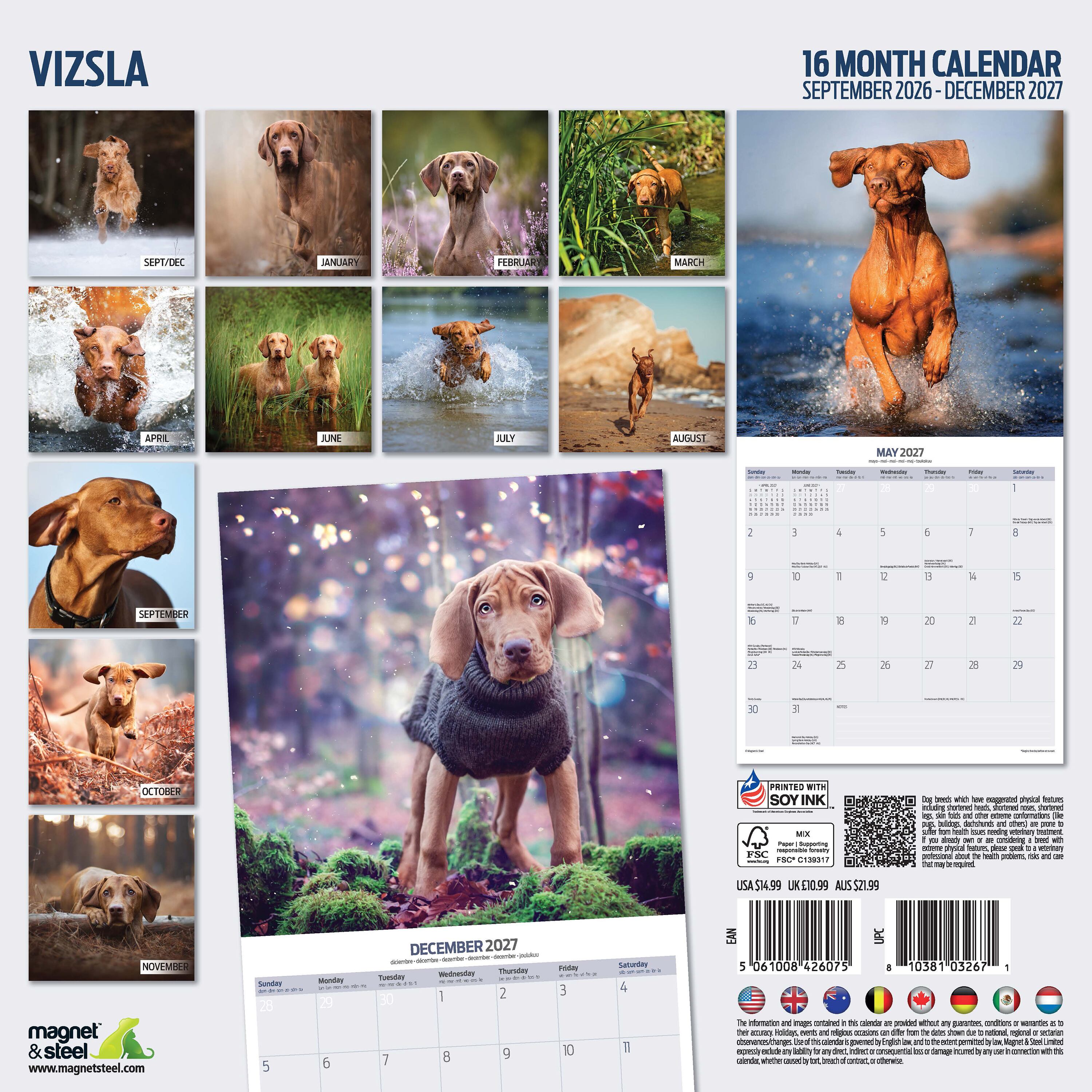 【2027年版】英国製犬種カレンダー【ビズラ】Traditional 2027年版
