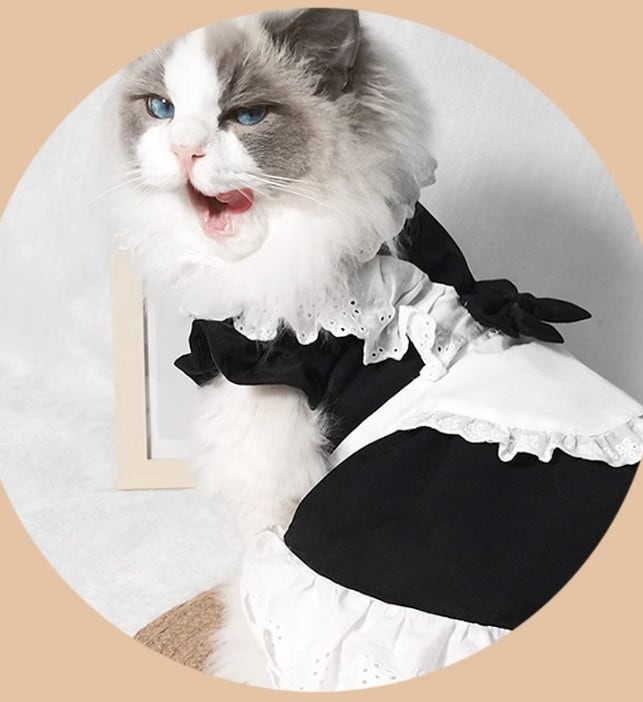 キャット 猫 ドレス ワンピース スカート エプロン コスチューム