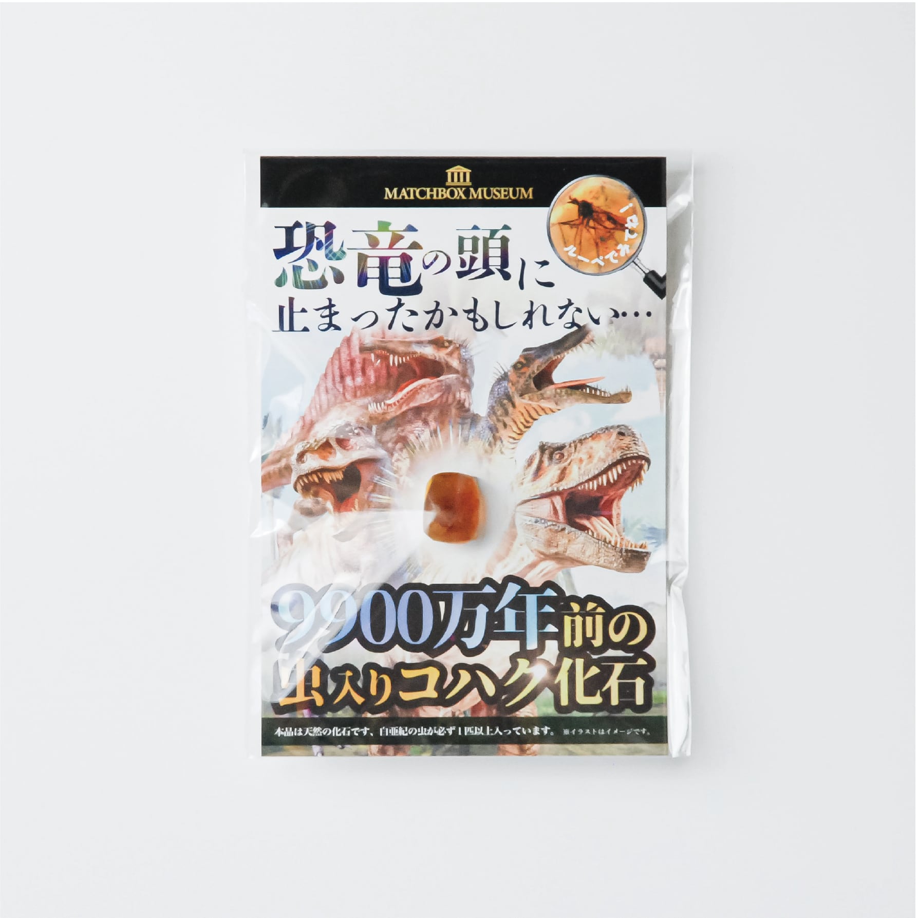 マッチ箱博物館 虫入りコハクのコレクション （マッチ箱なし） | MNH