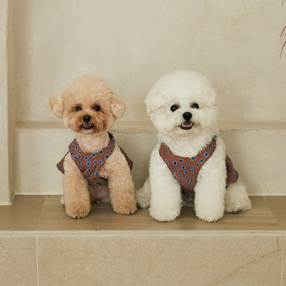 即納】デイジーワンピース BENNYS 韓国犬服 ドッグウェア | piccolino
