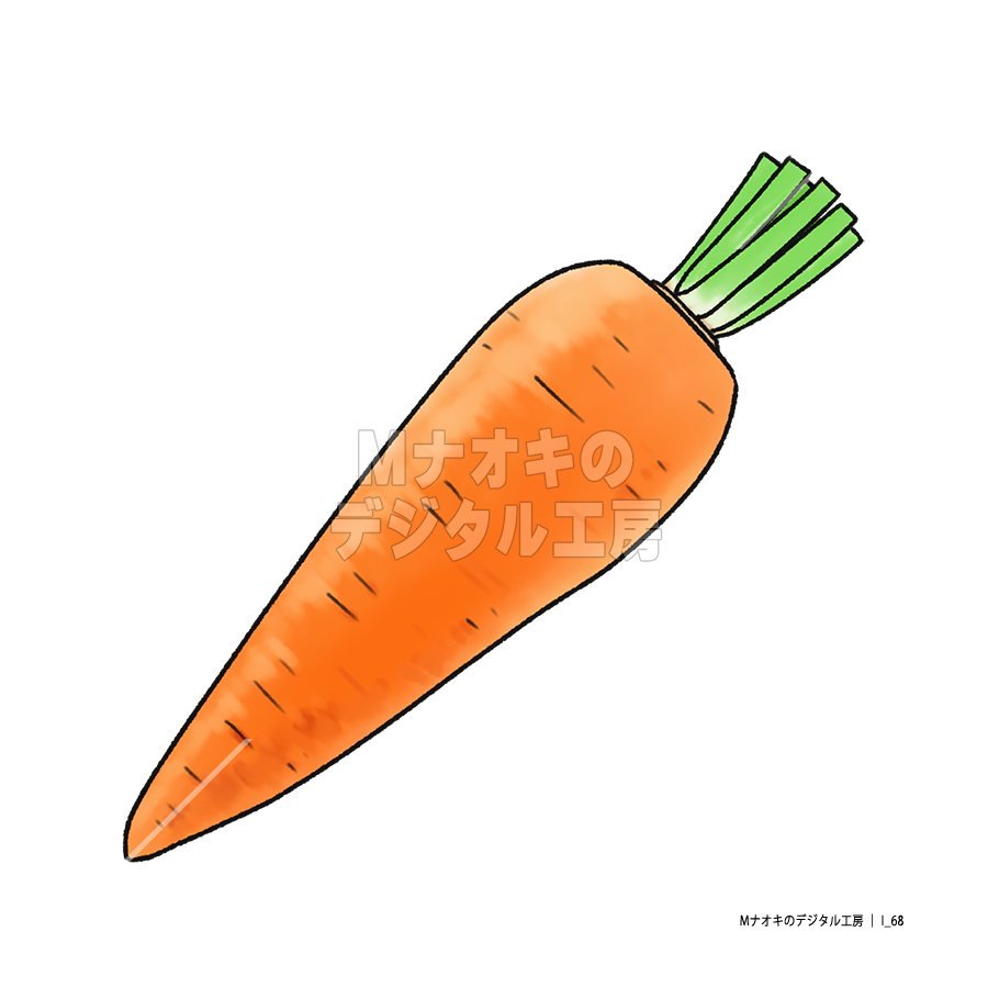 ニンジン　 carrot