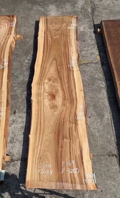 楠(クス)_3200×880-760×69_原板 N2638