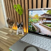 \ 公式ショップ限定価格❣️/ 美品《最高峰i7搭載》Panasonic Let's note FV1 メモリ16GB SSD256GB ノートパソコン 安心サポート&3ヶ月保証付き