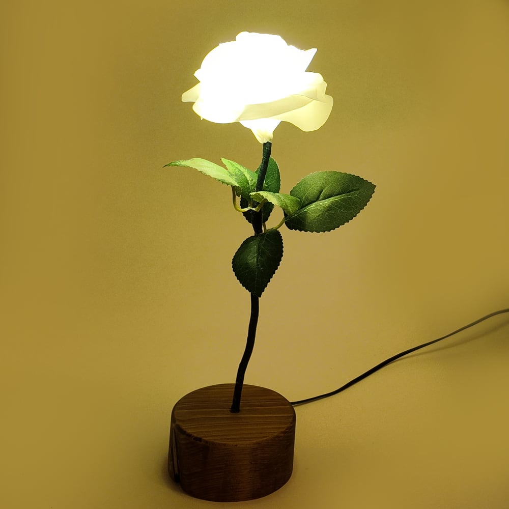 Natural style - Brown Base White | HANA-LUX ハナルクス