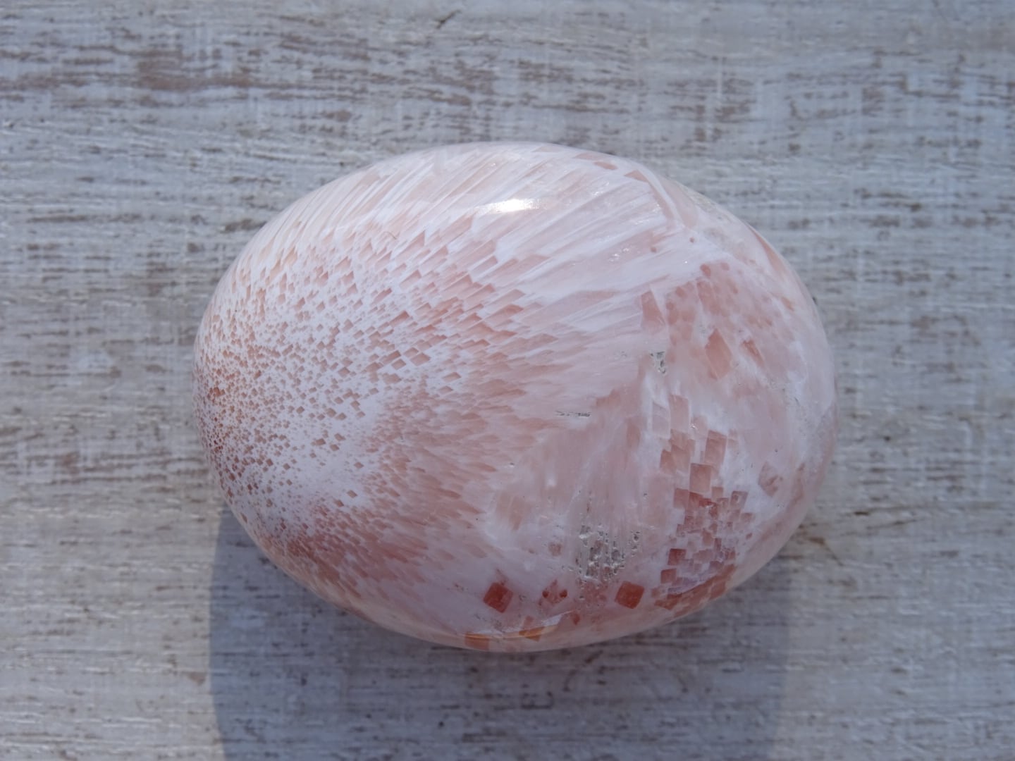 08b71e717c82a43ebfff302b6f7d0a