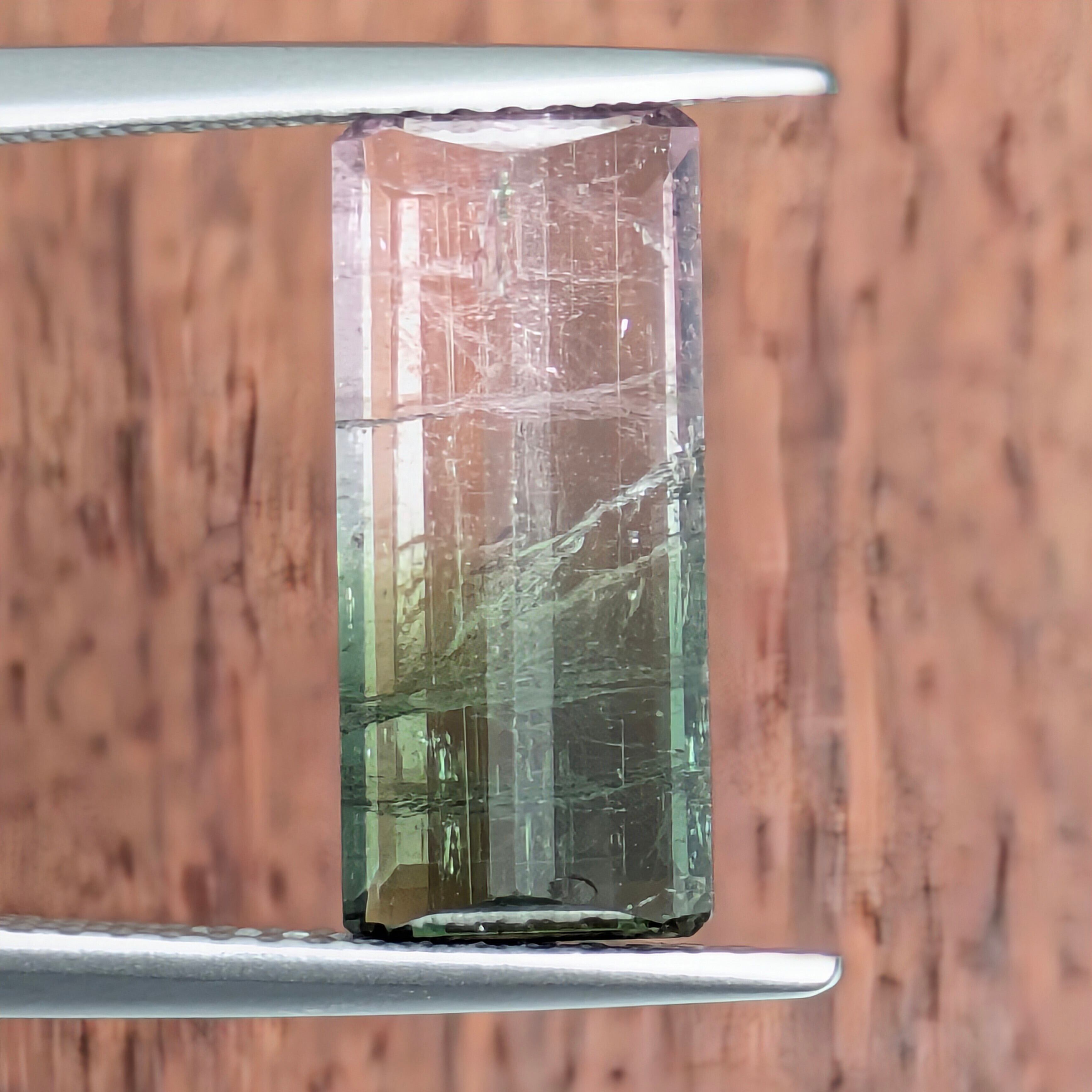 ウォーターメロントルマリンルース【3.46ct】 PRO208777 | Gem's