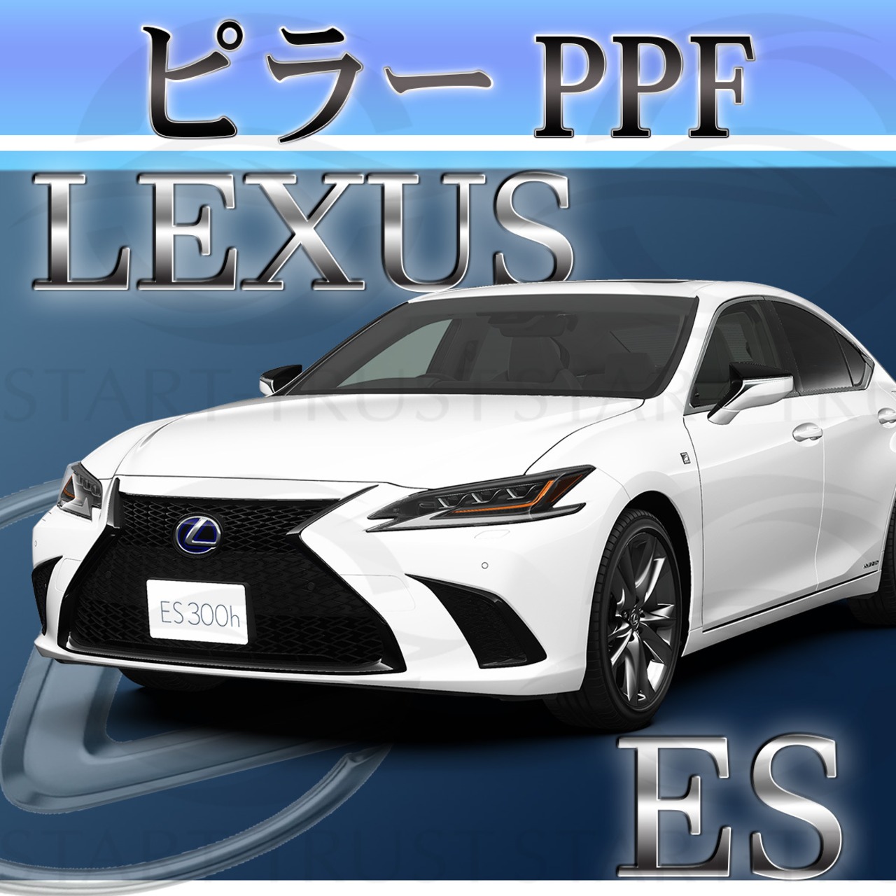 レクサスES 10系(2018年10月~) | ピラー用XPEL PPF クリア（透明）
