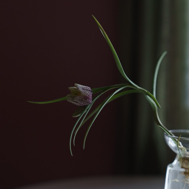 フラワーベース 球根ベース ロリエフL【リューズガラス】