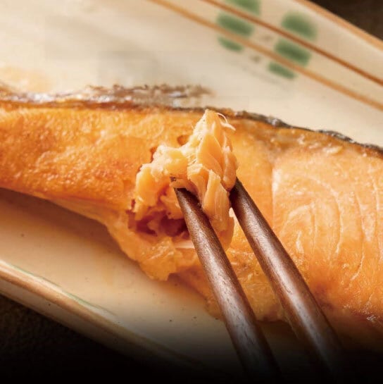 鮭 ビニール製 レプリカ 1切身300円！極上プレミアム鮭-海の恵み-(100gx50切れセット) | 片岡