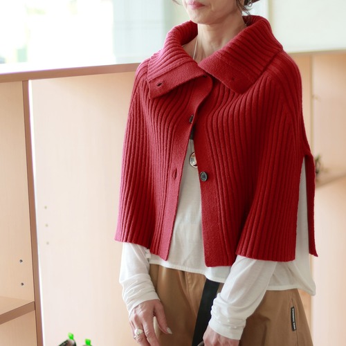 Dignite collier / ディニテ・コリエ 　フロントボタン　リブニットポンチョ｜ 手洗い可！いつもの服にプラスワンでこなれる旬レイヤード