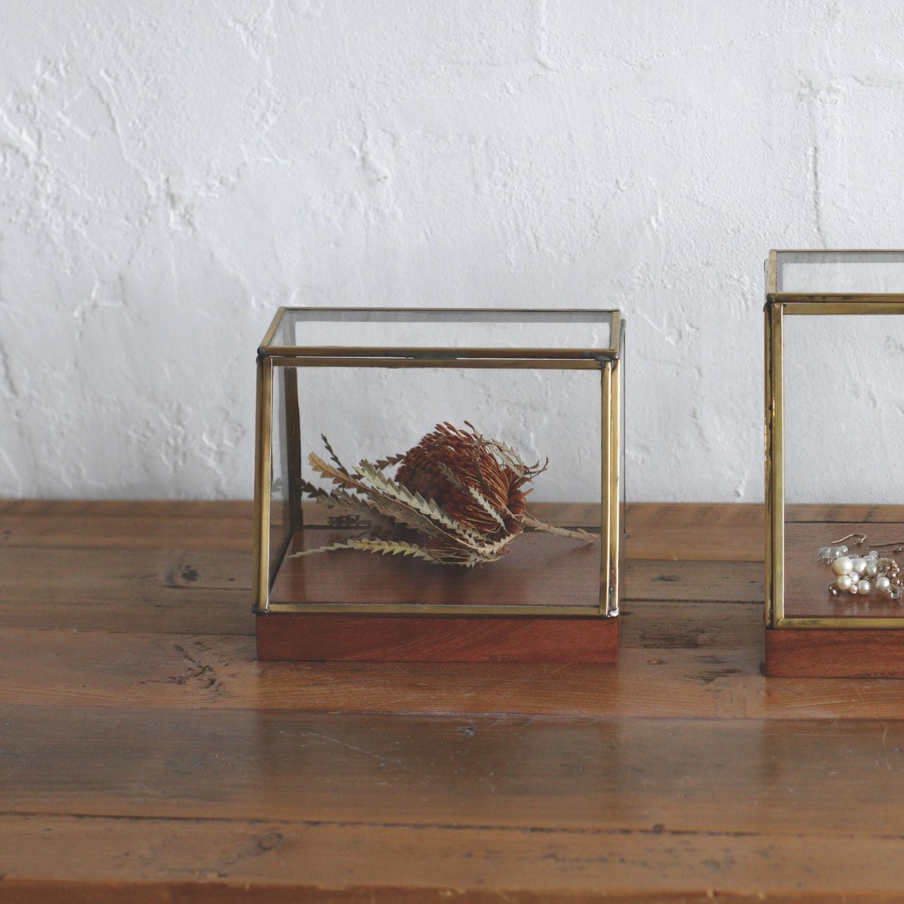 アルテン ブラスショーケース S