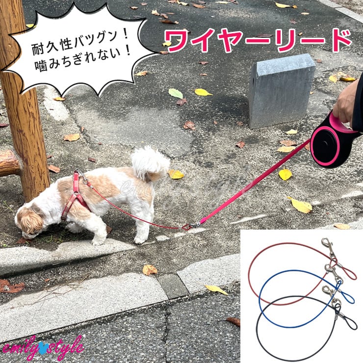 飼犬手噛 dzdx13007-01.jpg