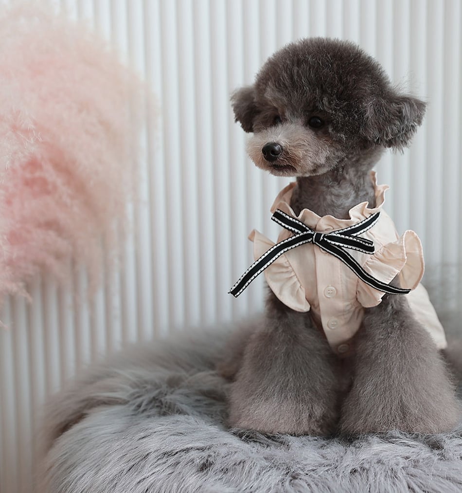 tint frill blouses / 犬服 ドッグウェア 犬の服 シャツ ワンちゃん ペット洋服 無地 犬 小型犬 中型犬 フリル ブラウス 綿 シンプル ベージュ 夏 袖なし 涼しい top125