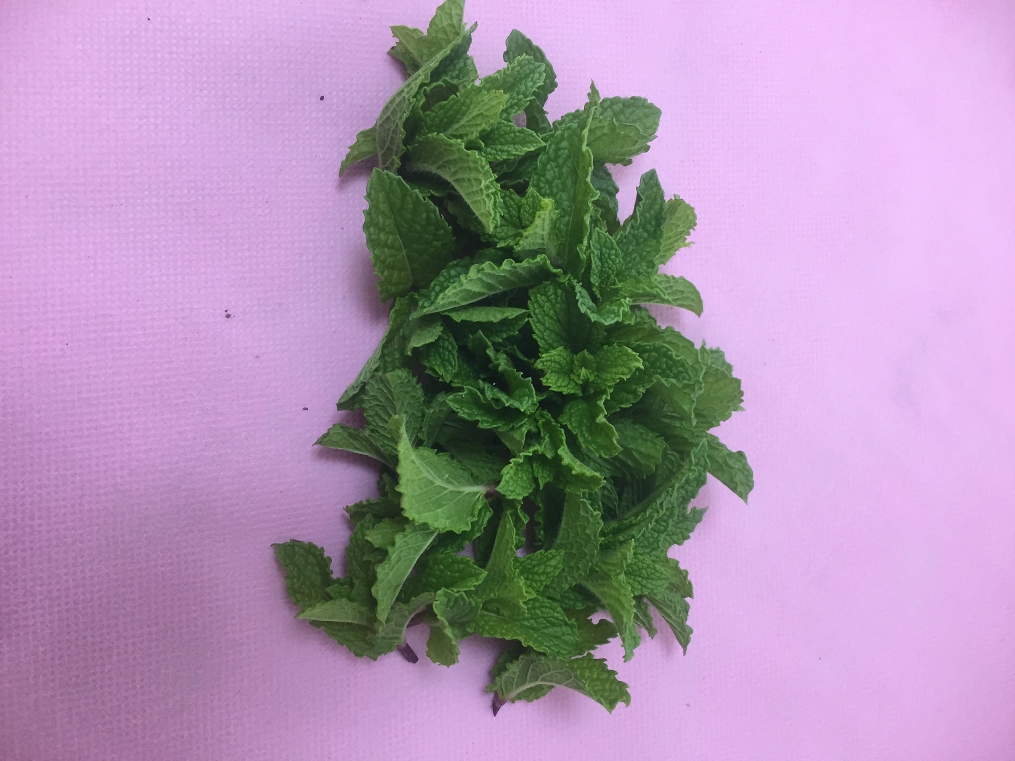 ちょこ様ご確認用 モヒートミント、スペアミント ちょこ様ご確認用