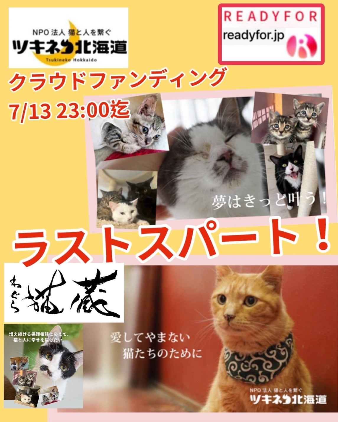 【5月】ツキネコ ツキネコ北海道
