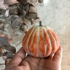 パンプキン　オレンジ