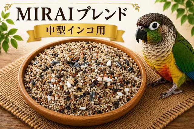 【MIRAI-UPオリジナル】 MIRAIブレンド 中型インコ用1kg