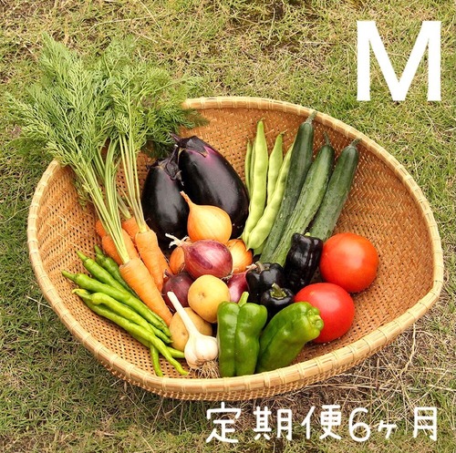 定期便＊月１回お届け６ヶ月コース【M】季節のお野菜おまかせボックスMサイズ