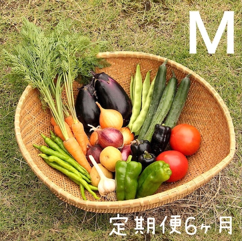 定期便＊月１回お届け６ヶ月コース【M】季節のお野菜おまかせボックスMサイズ