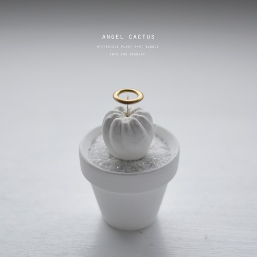 angel cactus（white）青王丸